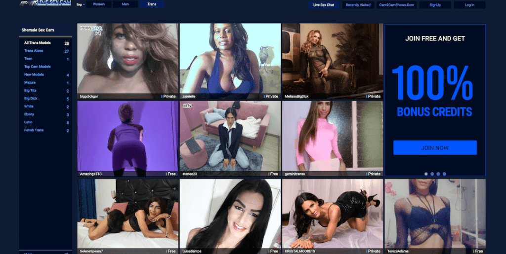 the home page of livesexcam.biz with online girls